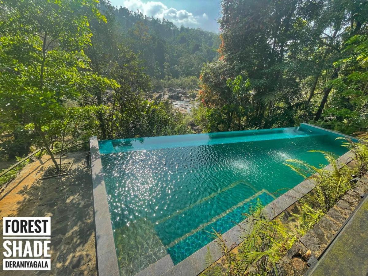 Forest Shade Eco Resort Deraniyagala Екстериор снимка